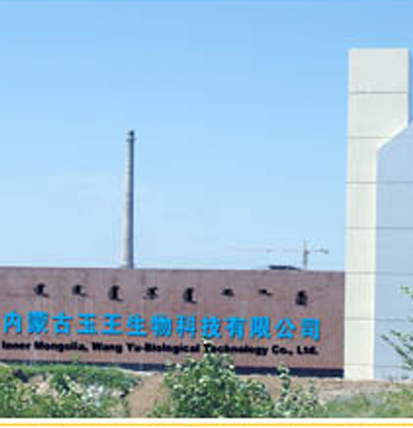 內蒙古玉王生物科技有限公司