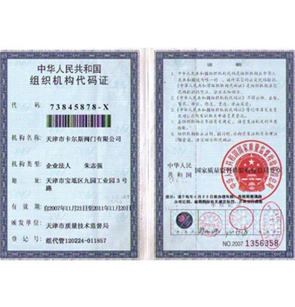 公司資（zī）質